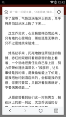 爱游戏体育官网意甲的赞助商